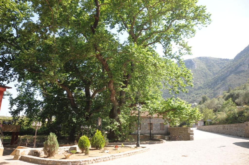 Villa Iris Mistra Dış mekan fotoğraf